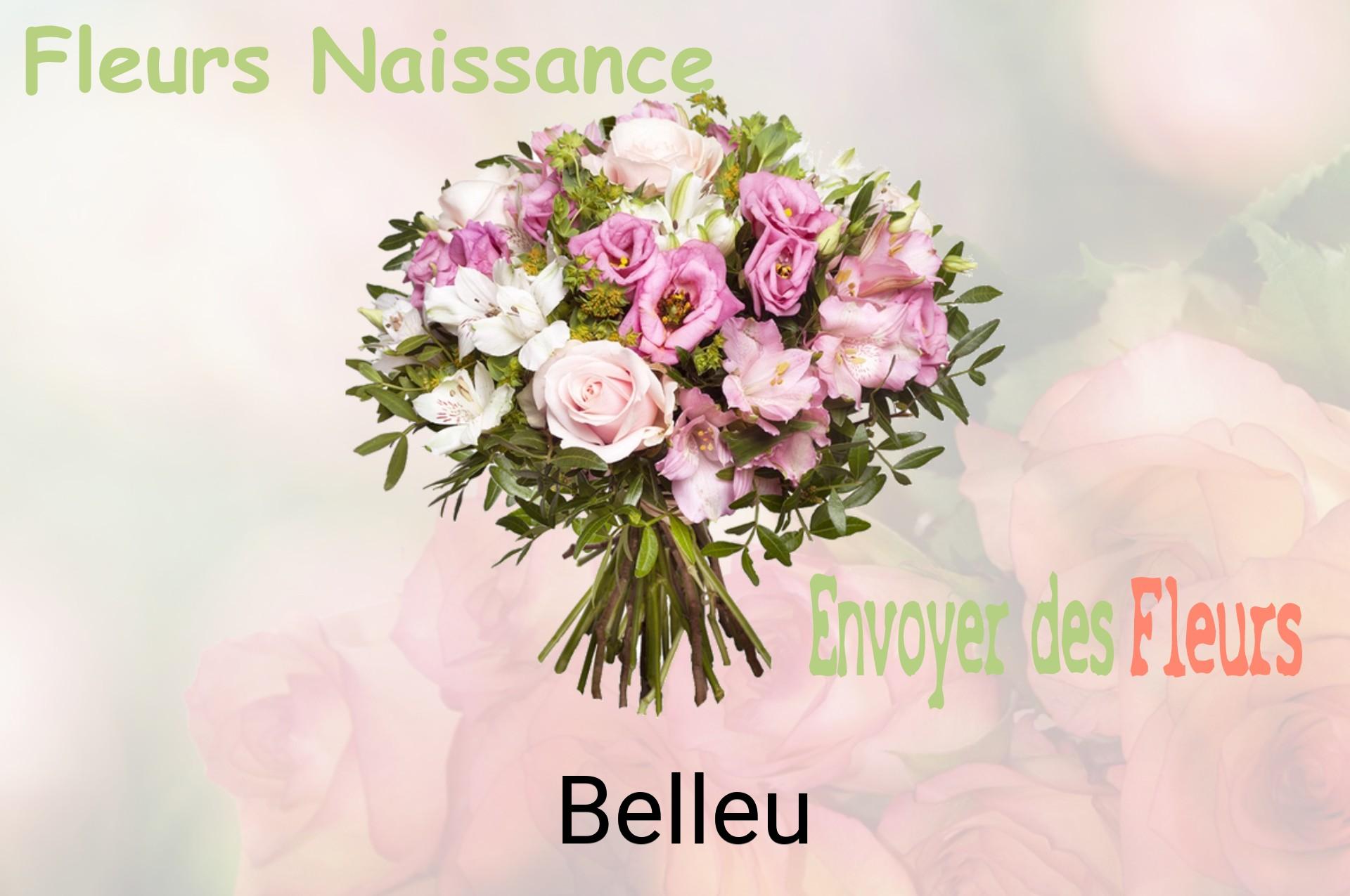 Bouquet de fleurs de naissance livré à Belleu
